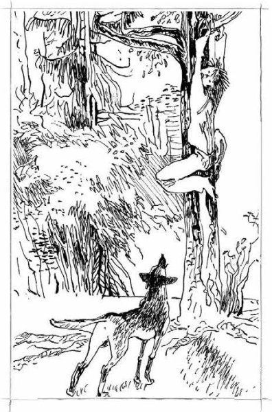 Сетон Томпсон маленькие дикари иллюстрации