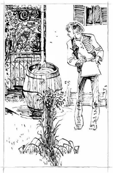 Маленькие дикари Эрнест Сетон-Томпсон