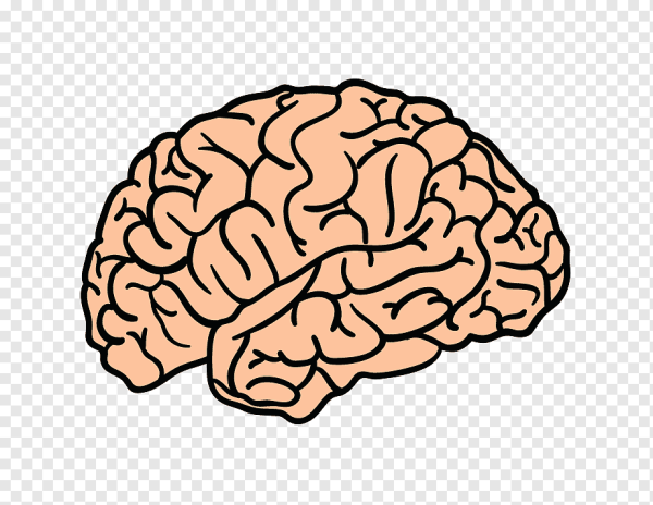 Мозг мультяшный