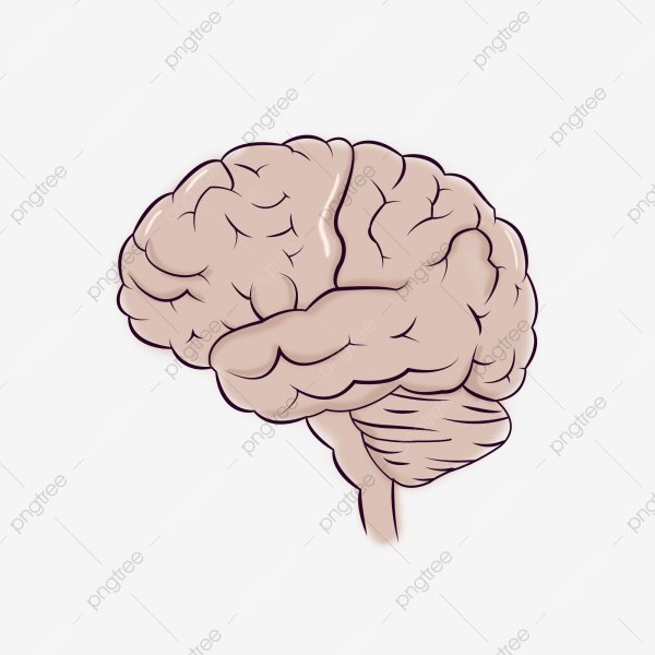 Розовый мозг