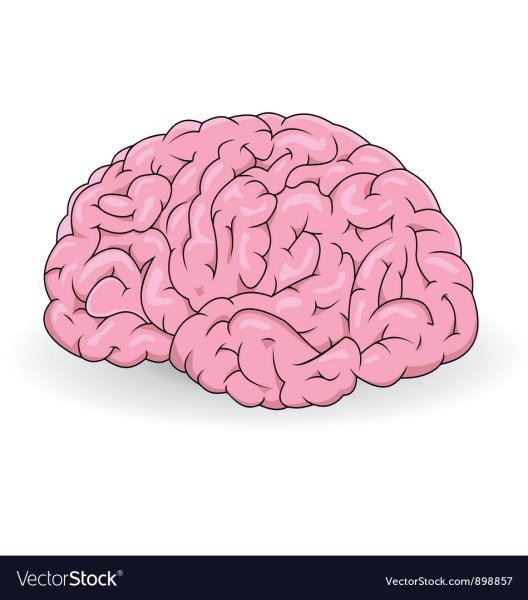 Мозг рисовать