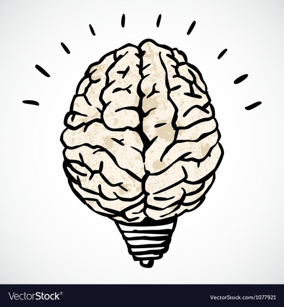 Стилизованное изображение мозга