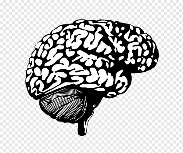 Мозг символ