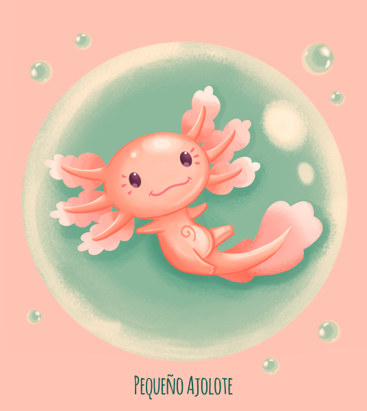 Аксолотль бирюзовый