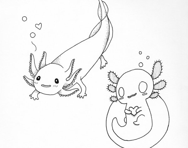 Лайн фурри аксолотль