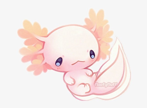 Kawaii аксолотль