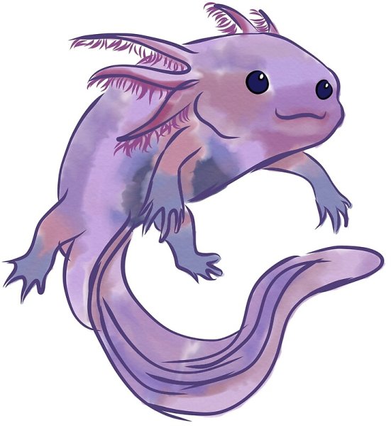 Аксолотль Оцелот