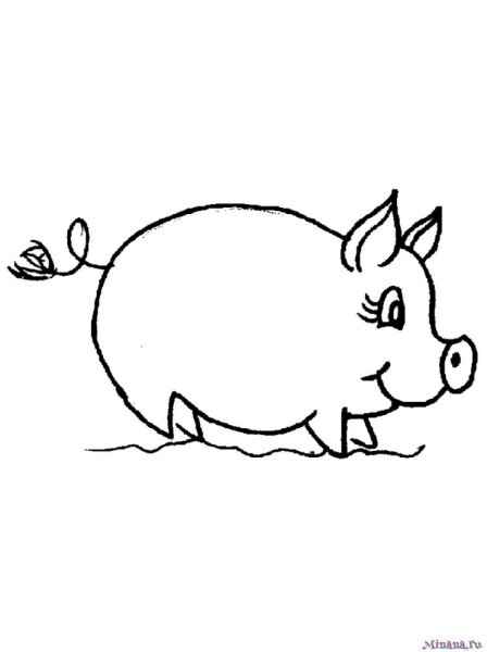 Раскраски для самых маленьких поросенок