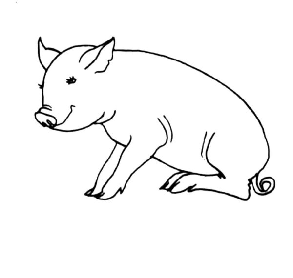 Раскраска маленькие поросята