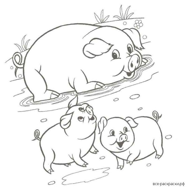 Семья свиней раскраска