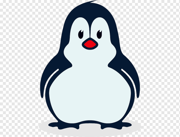 Пингвин картинка