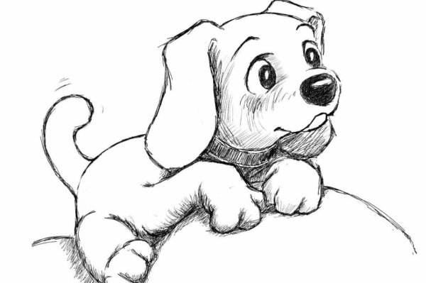 Щенок рисунок карандашом