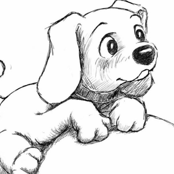 Домашние питомцы для срисовки