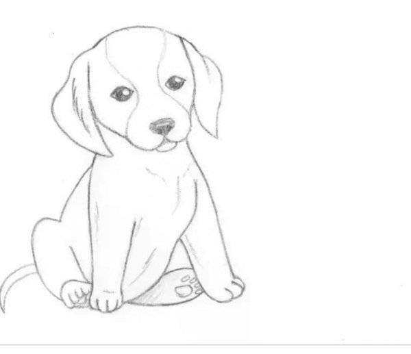 Щенок рисунок карандашом