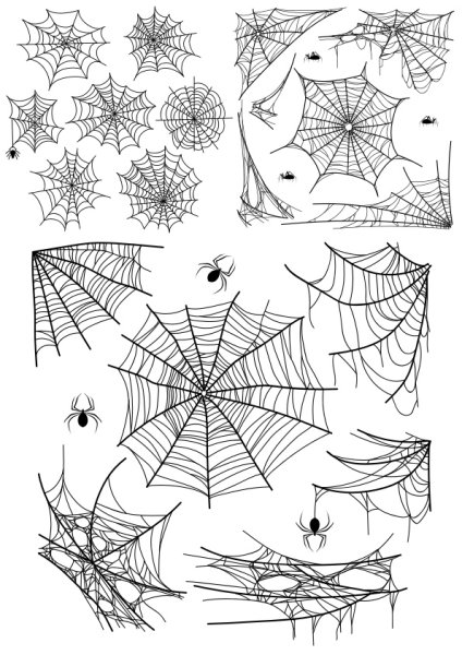 Паутина для срисовки