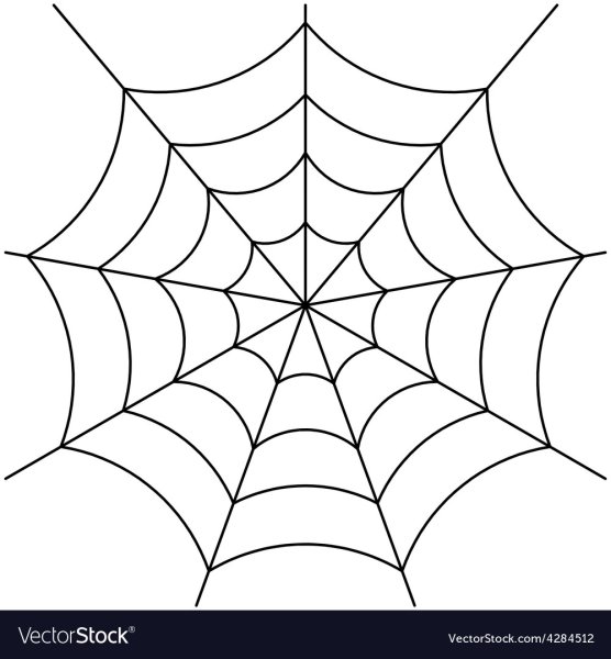 Паутина черно белый контур