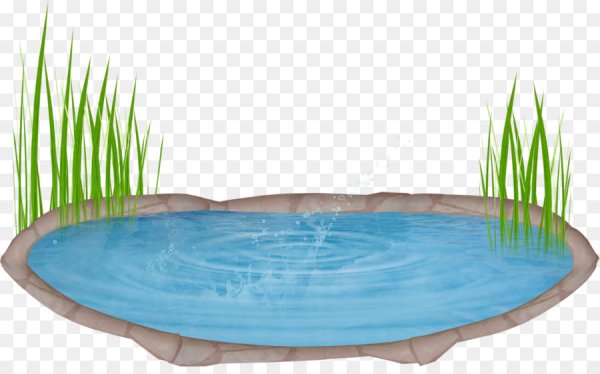 Водоем на белом фоне