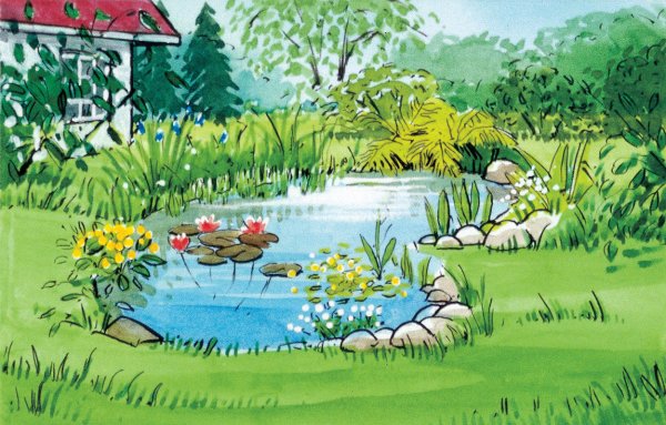 Пруд для детей