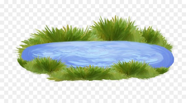 Речка на белом фоне