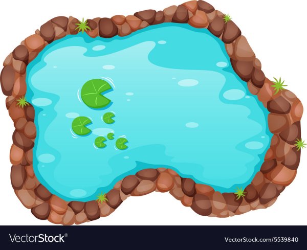 Пруд вид сверху вектор