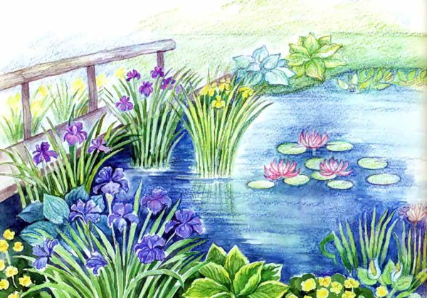 Узор клумбы возле водоема