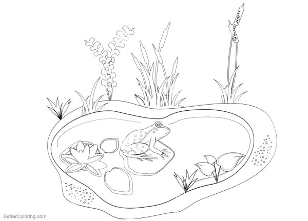 Пруд раскраска для детей