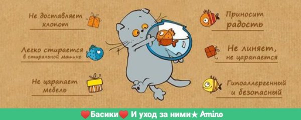 Паспорт Басика