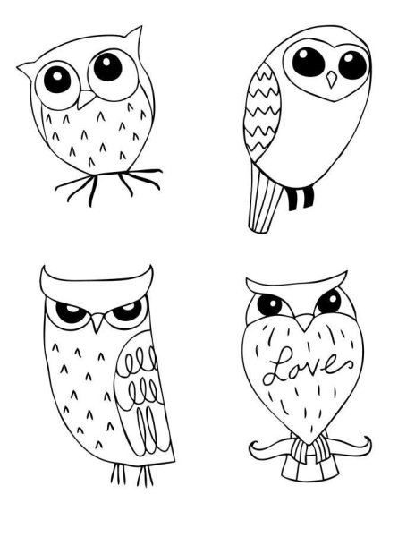 Рисунки для срисовки Сова легко