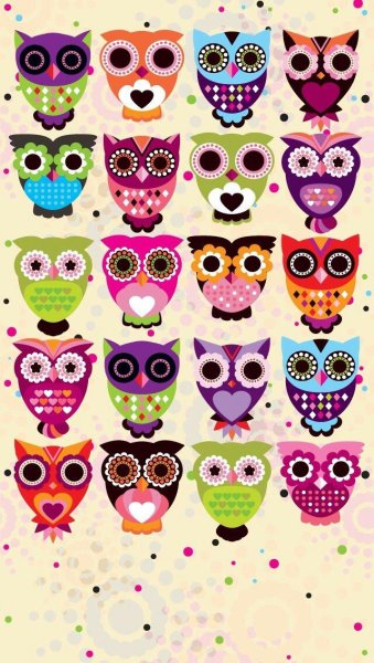 Красивые разноцветные Совушки