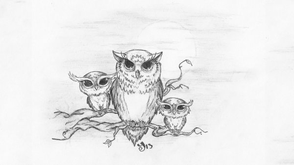 Эскиз Совушки