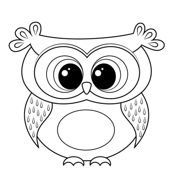 Сова раскраска