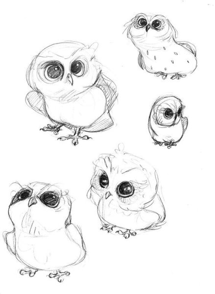 Рисунок Совы для срисовки