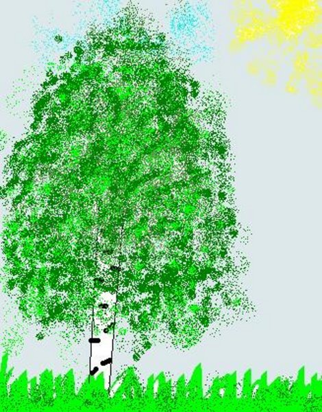 Поэтапное рисование березы