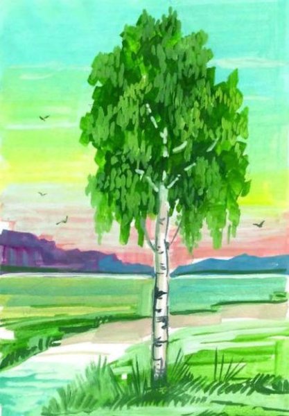 Береза раскраска для детей