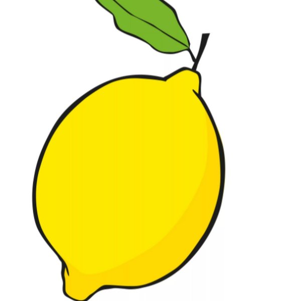 Лион нарисовать