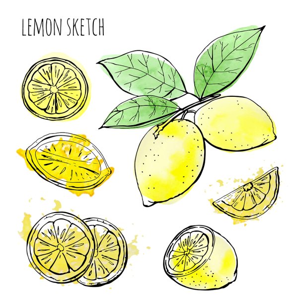 Лимон Графика