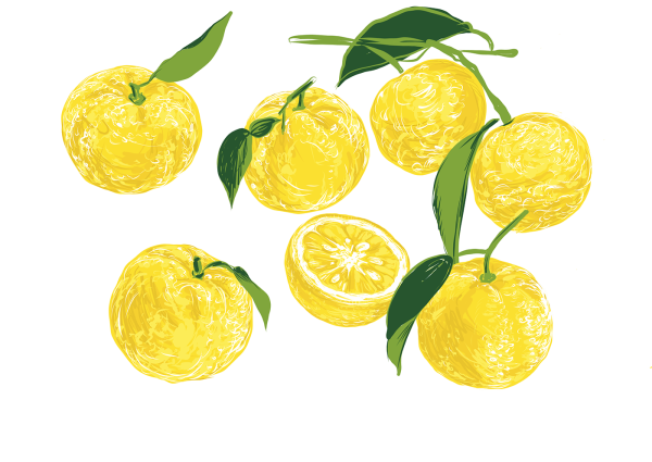 Юзу рисунок