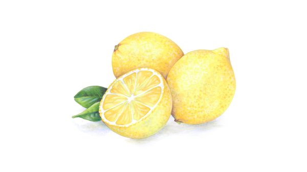 Лимон на белом фоне для детей