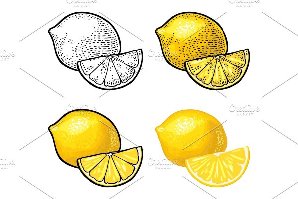 Долька лимона эскиз