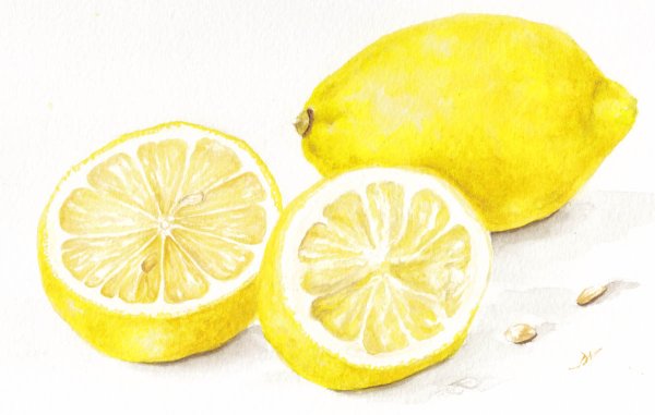 Лимон акварель срез