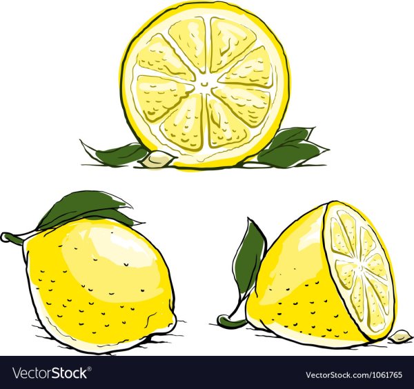 Lemon вектор