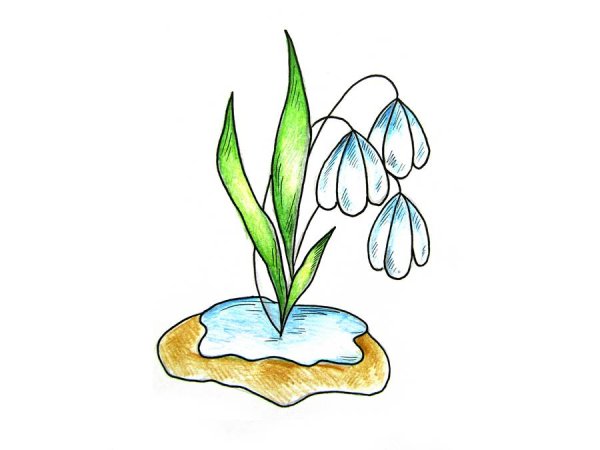 Рисование с детьми подснежники