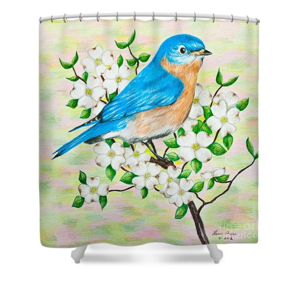 Красивые птицы рисунки