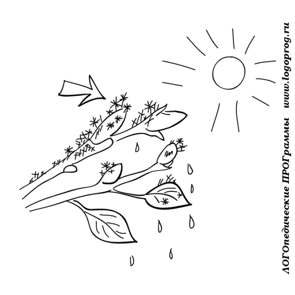 Раскраска Весенняя природа