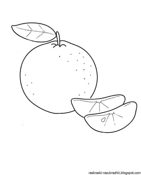 Апельсин раскраска