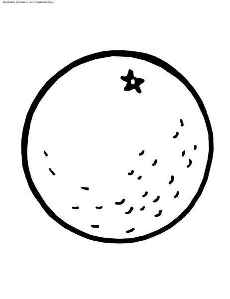 Апельсин раскраска