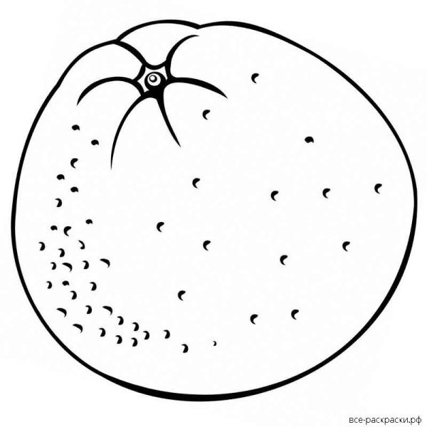 Апельсин раскраска