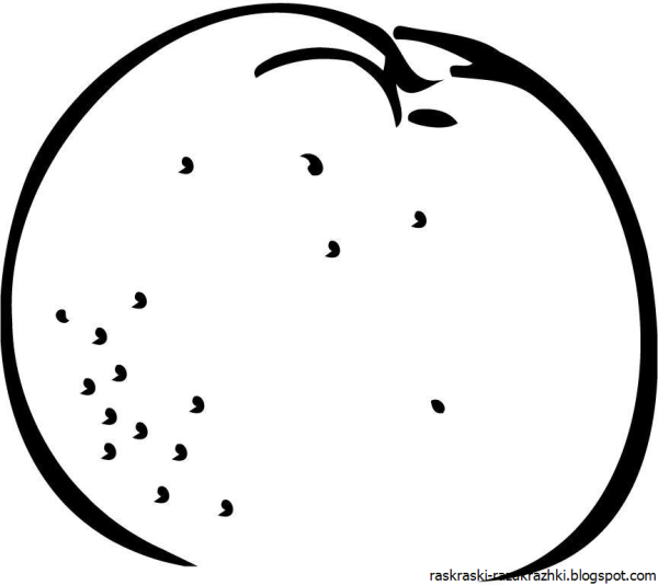 Раскраска фрукты апельсин