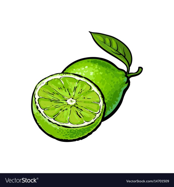 Скетч Лайма