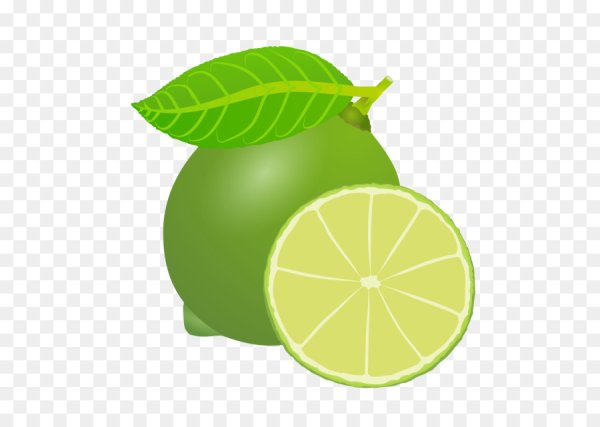 Лайм срисовать